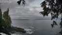 ./images/koeye/fitz-hugh/20251004/fitz-hugh20251004_074001M.jpg