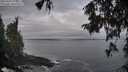 ./images/koeye/fitz-hugh/20251004/fitz-hugh20251004_075501M.jpg