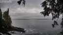 ./images/koeye/fitz-hugh/20251004/fitz-hugh20251004_080501M.jpg