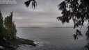 ./images/koeye/fitz-hugh/20251004/fitz-hugh20251004_081501M.jpg