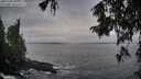 ./images/koeye/fitz-hugh/20251004/fitz-hugh20251004_082001M.jpg
