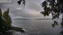 ./images/koeye/fitz-hugh/20251004/fitz-hugh20251004_084502M.jpg