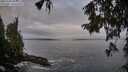 ./images/koeye/fitz-hugh/20251004/fitz-hugh20251004_085001M.jpg