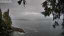 ./images/koeye/fitz-hugh/20251004/fitz-hugh20251004_091001M.jpg