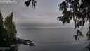 ./images/koeye/fitz-hugh/20251004/fitz-hugh20251004_094001M.jpg