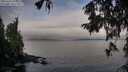 ./images/koeye/fitz-hugh/20251004/fitz-hugh20251004_094501M.jpg