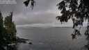 ./images/koeye/fitz-hugh/20251004/fitz-hugh20251004_100501M.jpg