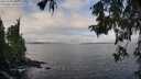 ./images/koeye/fitz-hugh/20251004/fitz-hugh20251004_101501M.jpg