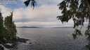 ./images/koeye/fitz-hugh/20251004/fitz-hugh20251004_102501M.jpg