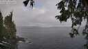 ./images/koeye/fitz-hugh/20251004/fitz-hugh20251004_104001M.jpg
