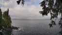 ./images/koeye/fitz-hugh/20251004/fitz-hugh20251004_104501M.jpg