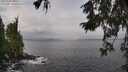 ./images/koeye/fitz-hugh/20251004/fitz-hugh20251004_105001M.jpg