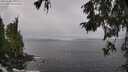 ./images/koeye/fitz-hugh/20251004/fitz-hugh20251004_110002M.jpg