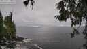 ./images/koeye/fitz-hugh/20251004/fitz-hugh20251004_110501M.jpg