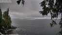 ./images/koeye/fitz-hugh/20251004/fitz-hugh20251004_111001M.jpg