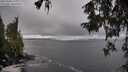 ./images/koeye/fitz-hugh/20251004/fitz-hugh20251004_113001M.jpg