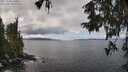 ./images/koeye/fitz-hugh/20251004/fitz-hugh20251004_121001M.jpg