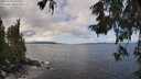 ./images/koeye/fitz-hugh/20251004/fitz-hugh20251004_121502M.jpg