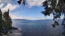 ./images/koeye/fitz-hugh/20251004/fitz-hugh20251004_122501M.jpg