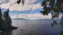 ./images/koeye/fitz-hugh/20251004/fitz-hugh20251004_131001M.jpg