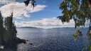 ./images/koeye/fitz-hugh/20251004/fitz-hugh20251004_131501M.jpg