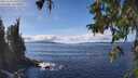 ./images/koeye/fitz-hugh/20251004/fitz-hugh20251004_135001M.jpg