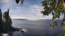 ./images/koeye/fitz-hugh/20251004/fitz-hugh20251004_142001M.jpg
