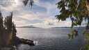 ./images/koeye/fitz-hugh/20251004/fitz-hugh20251004_145002M.jpg