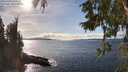 ./images/koeye/fitz-hugh/20251004/fitz-hugh20251004_151501M.jpg