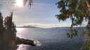 ./images/koeye/fitz-hugh/20251004/fitz-hugh20251004_152001M.jpg