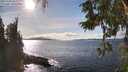 ./images/koeye/fitz-hugh/20251004/fitz-hugh20251004_153002M.jpg