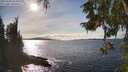 ./images/koeye/fitz-hugh/20251004/fitz-hugh20251004_154502M.jpg