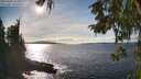 ./images/koeye/fitz-hugh/20251004/fitz-hugh20251004_155001M.jpg