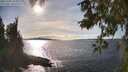 ./images/koeye/fitz-hugh/20251004/fitz-hugh20251004_160001M.jpg