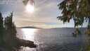 ./images/koeye/fitz-hugh/20251004/fitz-hugh20251004_161501M.jpg