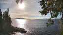 ./images/koeye/fitz-hugh/20251004/fitz-hugh20251004_162001M.jpg