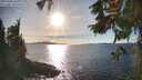./images/koeye/fitz-hugh/20251004/fitz-hugh20251004_165001M.jpg