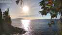 ./images/koeye/fitz-hugh/20251004/fitz-hugh20251004_165501M.jpg