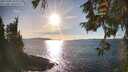 ./images/koeye/fitz-hugh/20251004/fitz-hugh20251004_170001M.jpg