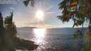 ./images/koeye/fitz-hugh/20251004/fitz-hugh20251004_170501M.jpg