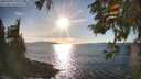 ./images/koeye/fitz-hugh/20251004/fitz-hugh20251004_171001M.jpg