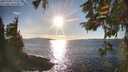 ./images/koeye/fitz-hugh/20251004/fitz-hugh20251004_171502M.jpg