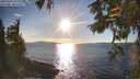 ./images/koeye/fitz-hugh/20251004/fitz-hugh20251004_172001M.jpg