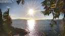 ./images/koeye/fitz-hugh/20251004/fitz-hugh20251004_172501M.jpg