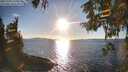 ./images/koeye/fitz-hugh/20251004/fitz-hugh20251004_173001M.jpg