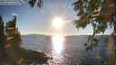 ./images/koeye/fitz-hugh/20251004/fitz-hugh20251004_173501M.jpg