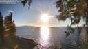 ./images/koeye/fitz-hugh/20251004/fitz-hugh20251004_174001M.jpg