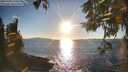 ./images/koeye/fitz-hugh/20251004/fitz-hugh20251004_174501M.jpg