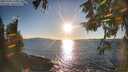 ./images/koeye/fitz-hugh/20251004/fitz-hugh20251004_175001M.jpg