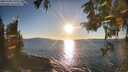 ./images/koeye/fitz-hugh/20251004/fitz-hugh20251004_175501M.jpg